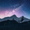 世界杯半决赛比赛现场，球迷热烈欢呼